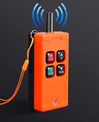 600 Kg Electric Hoist Lifting Crane Lifting Winch with Remote Control Lift