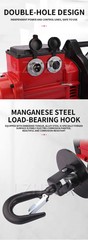 Brushless Speed Control Crane 220V Home Crane Electric Hoist Small Crane