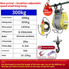 Brushless Inverter Small Diamond Electric Hoist 220v Crane Lift Adjustable Speed