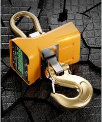 Industrial Heavy Duty Crane Scale Electronic Crane Scale Wireless Hook Scale