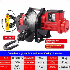 220V Electric Hoist Lifting Crane Brushless Speed Converter Hoist Small Hoist