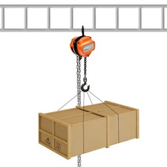0.25Ton G80 Manganese Steel Hand Chain Hoist 3m Lift Orange Triangle Shell
