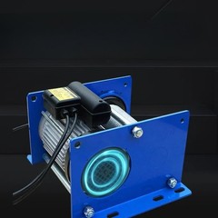 Factory Wholesale Quick Upgrade 220V Household Mini Electric Hoist