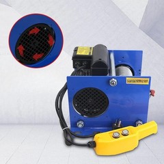 Factory Wholesale Quick Upgrade 220V Household Mini Electric Hoist
