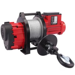 Brushless Speed Control Crane 220V Home Crane Electric Hoist Small Crane
