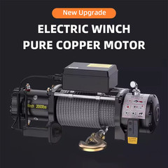 Automotive Self-Help Electric Hoist Winch Extractor Electric Winch 12V/24V Off-r