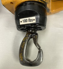 Mannesmann Demag,PM511F,Hoist 100LB 460V