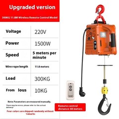 Miniature Electric Hoist 220V Crane Portable Remote Control Home Lift