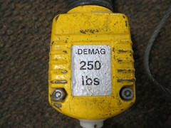 Demag 250LB Hoist