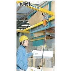 Elephant Chain Block Beta Electric Chain Hoist 125kg 10m BSK12A0