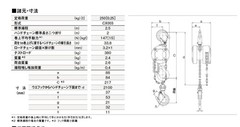 KITO CX003 Chain Block CX 250kg x 2.5m With Overload Limiter