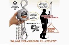 KITO CX003 Chain Block CX 250kg x 2.5m With Overload Limiter JP