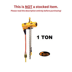 HARRINGTON TCS PENDANT CONTROLLED AIR HOIST, 1 TON CAPACITY, 10 FT LIFT