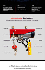 Wire Rope Electric Hoist Crane Small Home Winch Crane Small Hoist Hook Lifter