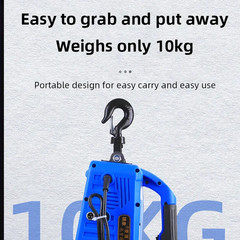 220V Portable Mini Electric Hoist with Wireless Remote Household Small Lifting W